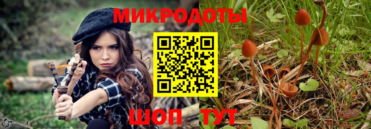 Галлюциногенные грибы Psilocybine cubensis  Вход с VPN  Зеленодольск 